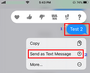 Send As Text Message Option on iPhone