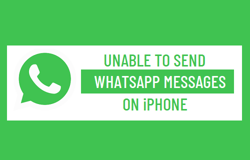 Unable to Send WhatsApp Messages on iPhone