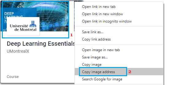 How to Reverse Image Search on Google Using Computer and Phone - 13