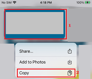 Copy Image URL on iPhone