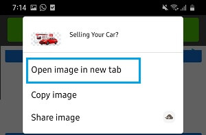 How to Reverse Image Search on Google Using Computer and Phone - 5