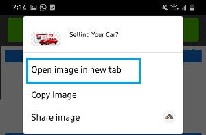 Open Image in New Tab