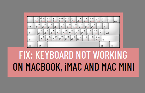 Keyboard Not Working on Mac