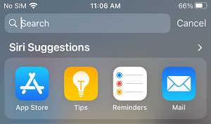 Siri Suggestion in Spotlight Search on iPhone