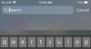 Spotlight Search Screen Without Siri Suggestions