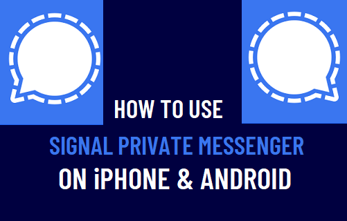 How to Download   Use Signal on iPhone   Android - 30