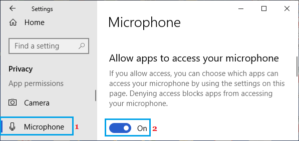 Allow Apps to Access Microphone