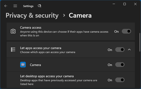 Enable Camera Access in Windows Privacy Settings