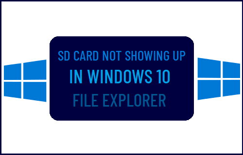 SD Card Not Showing Up in Windows 10 File Explorer