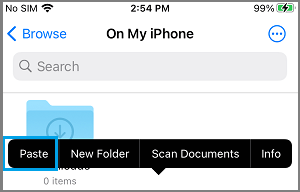 Paste Option in iPhone Files App