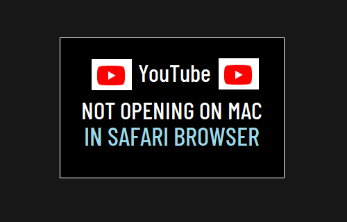 YouTube Not Opening on Mac in Safari Browser - 6