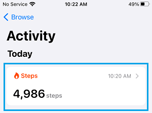 Steps Tab on iPhone Health App