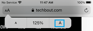 Font Size Enlarged to 125% on iPhone Safari Browser