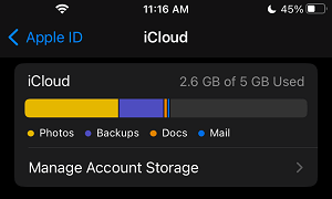 iCloud Storage Status on iPhone