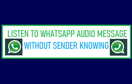Listen to WhatsApp Audio Message Without Sender Knowing - 20