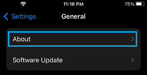About Tab on iPhone Settings Screen
