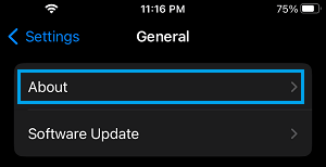 About Tab on iPhone General Settings