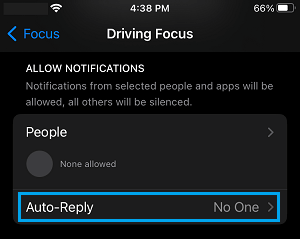 Auto Reply Settings Option on iPhone