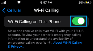 Enable Wi-Fi Calling on iPhone