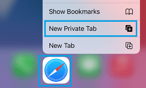 Open Private Browsing Tab in iPhone Safari Browser