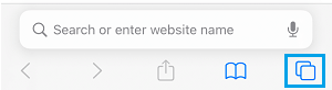 Pages Icon on iPhone Safari Browser