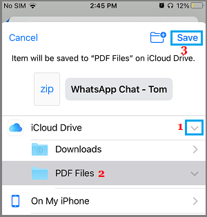 Save WhatsApp Chat to iCloud