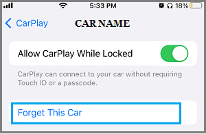 Forget This Car Option on iPhone