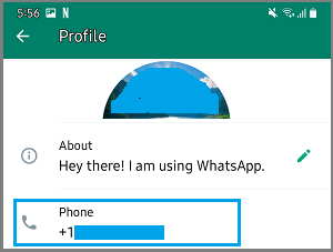 How to Check WhatsApp Number on iPhone and Android - 75