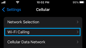 Wi-Fi Calling Tab on iPhone Settings App