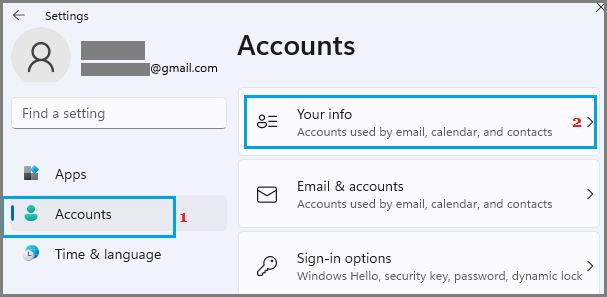Accounts Info Tab in Windows 11