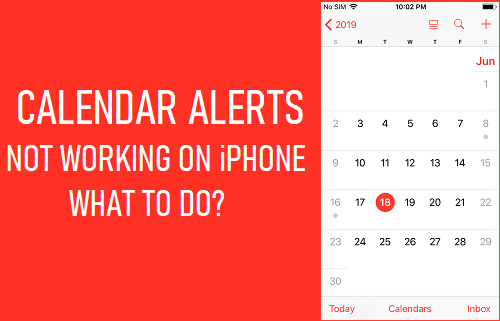 Calendar Alerts Not Working on iPhone
