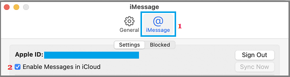 Enable Messages in iCloud Option on Mac