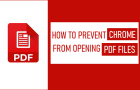 Prevent Chrome from Opening PDF Files