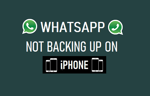 WhatsApp Not Backing Up on iPhone  How to Fix  - 22