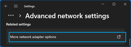 More Network Adapter Options in Windows 11