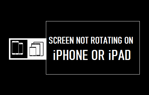 Screen Not Rotating on iPhone or iPad: How to Fix?