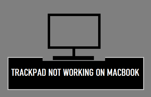 Trackpad Not Working on MacBook