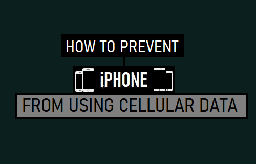 Prevent iPhone from Using Cellular Data