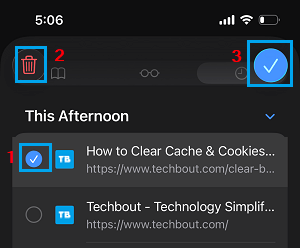 Delete Selected History From Safari Browser on iPhone