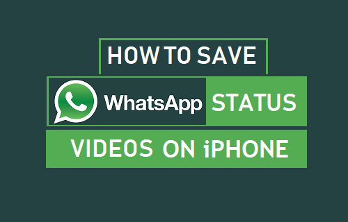 Guardar video de estado de WhatsApp en iPhone