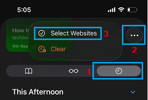 Select Websites Option on iPhone Safari Browser