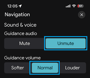 Unmute Google Maps on iPhone