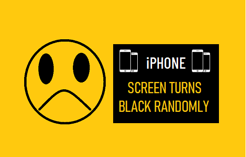 iPhone Screen Turns Black Randomly