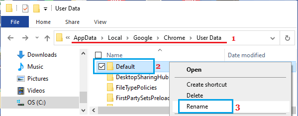 Rename Chrome User Data Folder