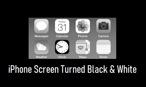 iPhone Screen Turned Black and White