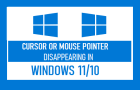 Mouse Pointer Disappearing in Windows 11/10
