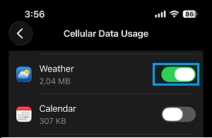 Enable Cellular Data for Weather App on iPhone