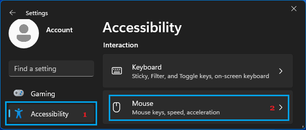 Accessibility Mouse Settings in Windows 11