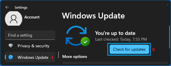 Check For Updates Option in Windows