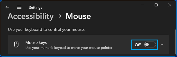 Disable Mouse Keys Option in Windows 11